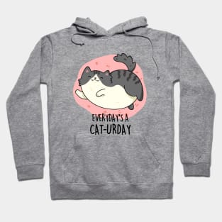 Everyday's A Caturday Cute Saturday Cat Pun. Hoodie